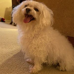 Meet your Posher, Adriana